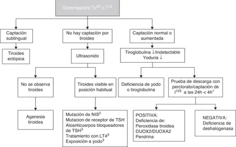 Diagrama de flujo para diagnóstico de hipotiroidismo congénito. Evalúa captación tiroidea, ultrasonido y niveles de tiroglobulina/yoduria para determinar causas.