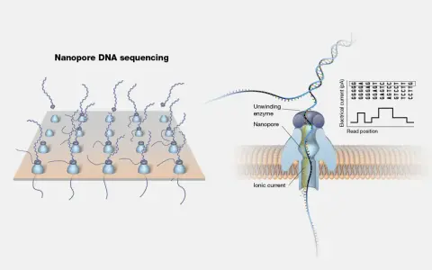 Ilustración de secuenciación por nanoporos: ADN pasa por un nanoporo, generando una corriente iónica que se registra.