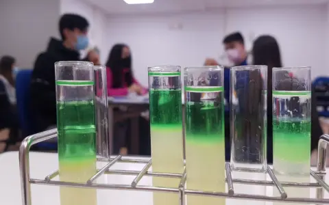 Tubos de ensayo con capas verdes y amarillas, parte de un experimento de extraccion adn en un laboratorio escolar.