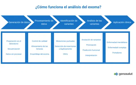 Diagrama del análisis del exoma: desde la generación de datos hasta la aplicación clínica, incluyendo identificación y análisis de variantes.