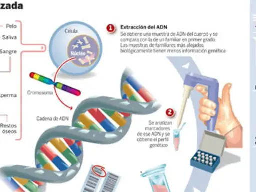 Ilustración sobre ADN y genética, mostrando la extracción, análisis y aplicaciones, incluyendo la importancia de los antecedentes familiares.