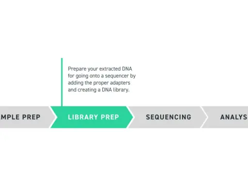 Diagrama del proceso de secuenciación: preparación de muestra, preparación de librería para exoma completo, secuenciación y análisis.