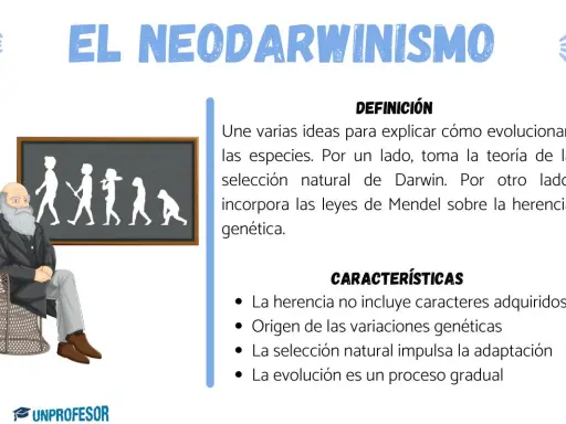 Charles Darwin sentado, con la pizarra de la evolución detrás. Explica la teoría sintética de la evolución, combinando Darwin y Mendel.