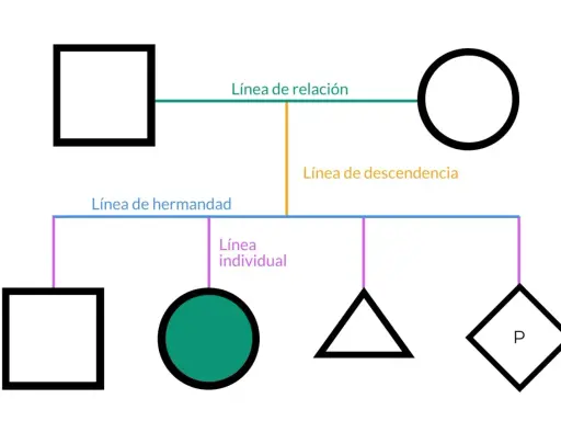 Diagrama de árbol genealógico. Muestra la relación entre bisabuelos y sus descendientes.