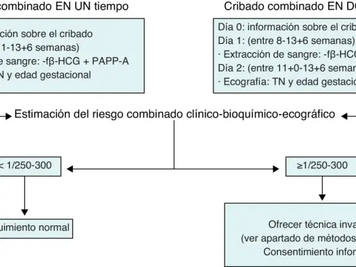 Diagrama de cribado prenatal para estimar el riesgo de trisomías más comunes. Incluye análisis de sangre y ecografía.