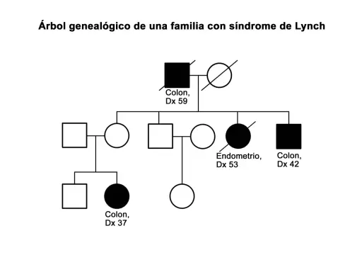 Árbol genealógico para construir la historia familiar de Lynch, mostrando casos de cáncer de colon y endometrio.