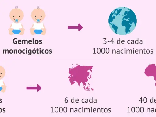 La imagen muestra que tener gemelos dicigóticos es hereditario, con tasas de nacimientos variables por continente.