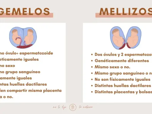 Infografía que explica la diferencia entre gemelos y mellizos, detallando su origen genético y características físicas.