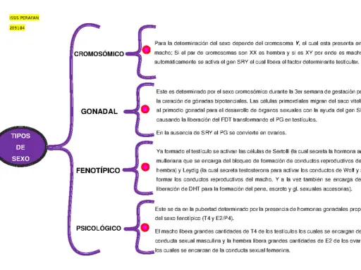 Mapa mental sobre los tipos de sexo: cromosómico, gonadal, fenotípico y psicológico.
