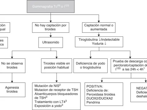 Diagrama de flujo para diagnóstico de hipotiroidismo congénito. Evalúa captación tiroidea, ultrasonido y niveles de tiroglobulina/yoduria para determinar causas.