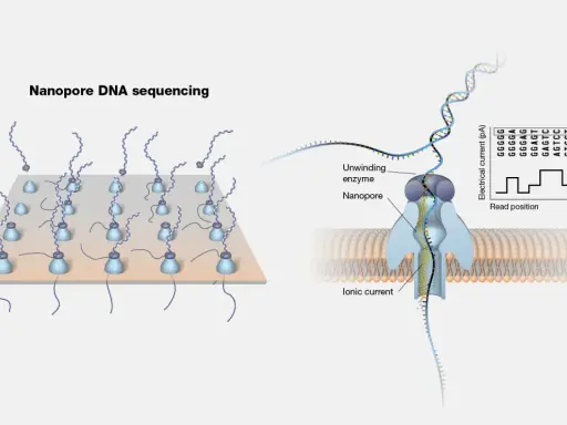 Ilustración de secuenciación por nanoporos: ADN pasa por un nanoporo, generando una corriente iónica que se registra.