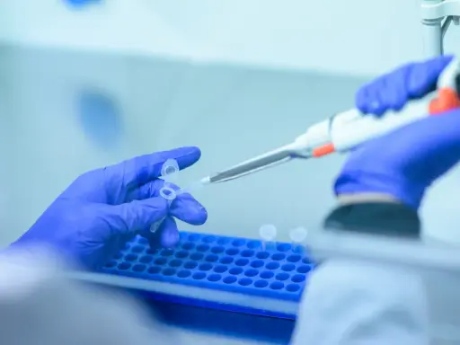 Manos con guantes azules manipulan tubos de ensayo y pipeta. Lydia Fairchild trabaja en el laboratorio, investigando con precisión.