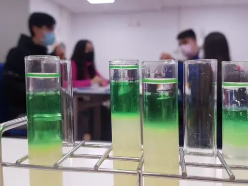Tubos de ensayo con capas verdes y amarillas, parte de un experimento de extraccion adn en un laboratorio escolar.