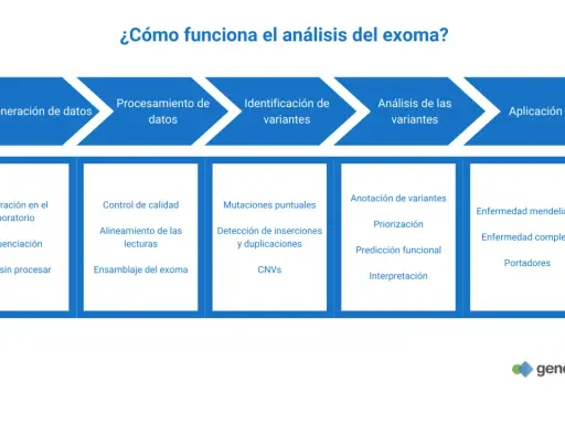 Diagrama del análisis del exoma: desde la generación de datos hasta la aplicación clínica, incluyendo identificación y análisis de variantes.