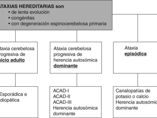 Diagrama de ataxias hereditarias, incluyendo la ataxia de Friedreich, que se hereda de forma recesiva.