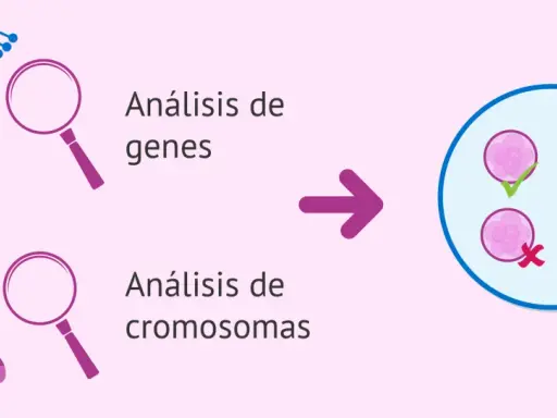 Análisis genético y cromosómico para detectar si la esclerosis múltiple es hereditaria.