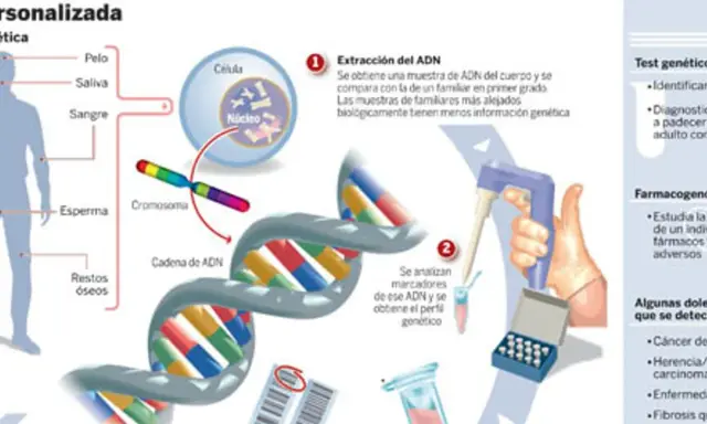 Ilustración sobre ADN y genética, mostrando la extracción, análisis y aplicaciones, incluyendo la importancia de los antecedentes familiares.