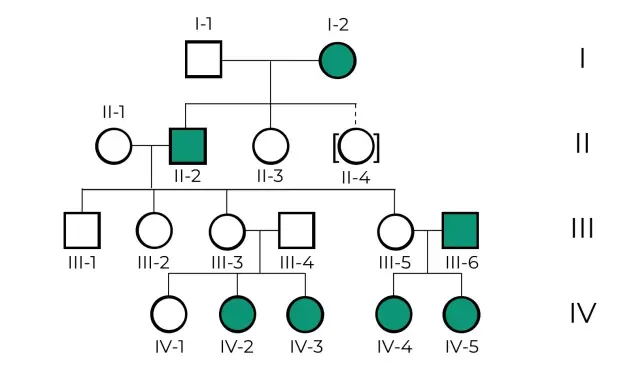 Ejemplos de árbol genealógico mostrando herencia de un rasgo. Círculos representan mujeres, cuadrados hombres. Individuos afectados en verde.