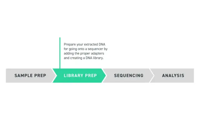 Diagrama del proceso de secuenciación: preparación de muestra, preparación de librería para exoma completo, secuenciación y análisis.