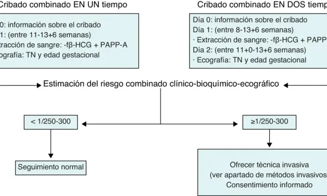 Diagrama de cribado prenatal para estimar el riesgo de trisomías más comunes. Incluye análisis de sangre y ecografía.