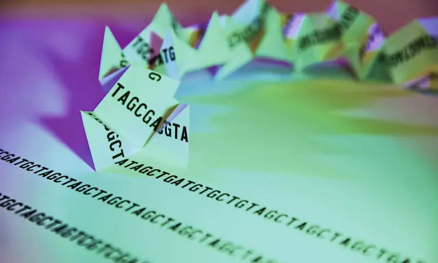 Secuencia de ADN plegada en forma de origami, representando el genotipo humano. Las letras A, T, C, G forman la cadena genética.