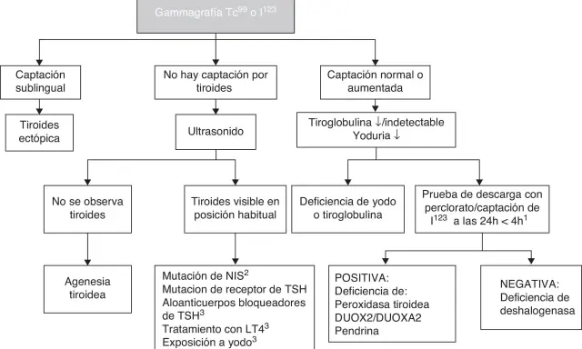 Diagrama de flujo para diagnóstico de hipotiroidismo congénito. Evalúa captación tiroidea, ultrasonido y niveles de tiroglobulina/yoduria para determinar causas.