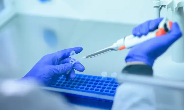 Manos con guantes azules manipulan tubos de ensayo y pipeta. Lydia Fairchild trabaja en el laboratorio, investigando con precisión.