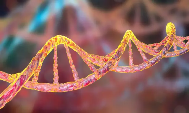 Una doble hélice de ADN, que representa la genética. Se investiga si el alzheimer se hereda de la madre.