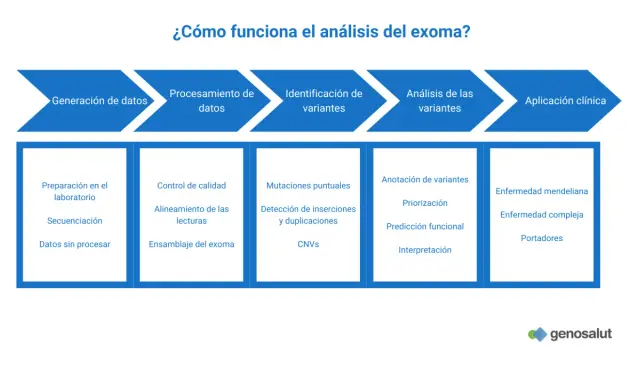 Diagrama del análisis del exoma: desde la generación de datos hasta la aplicación clínica, incluyendo identificación y análisis de variantes.