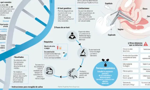 Tipos de pruebas genéticas: análisis de susceptibilidad, farmacogenómica y detección de dolencias.