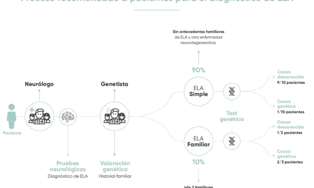 Diagrama del proceso de diagnóstico de ELA, mostrando la diferencia entre ELA Simple y ELA Familiar, con porcentajes y causas genéticas.