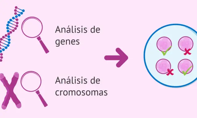 Análisis genético y cromosómico para detectar si la esclerosis múltiple es hereditaria.