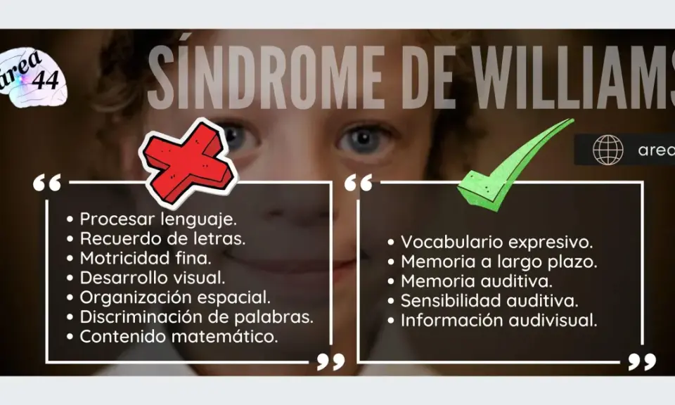 El síndrome de Williams se caracteriza por dificultades en el lenguaje y la motricidad, pero con un vocabulario expresivo y memoria auditiva destacables.