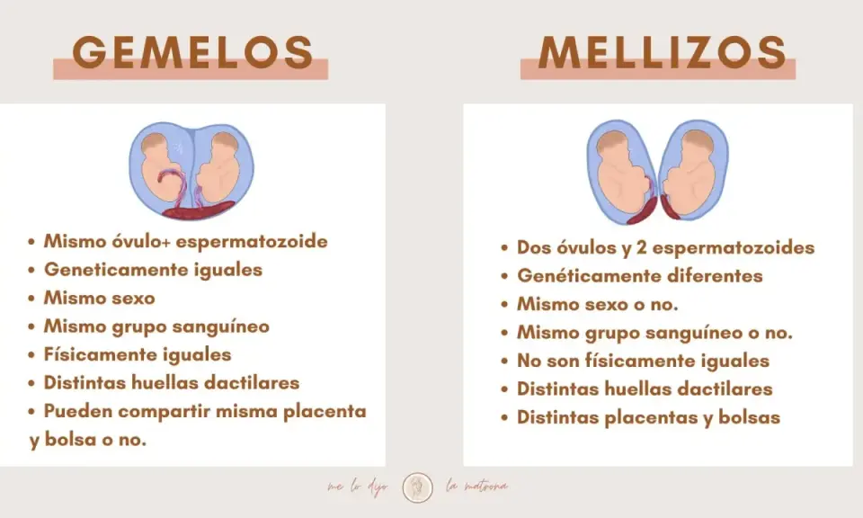 Infografía que explica la diferencia entre gemelos y mellizos, detallando su origen genético y características físicas.