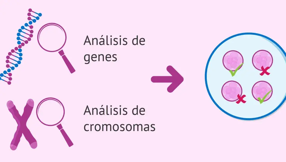 Análisis genético y cromosómico para detectar si la esclerosis múltiple es hereditaria.