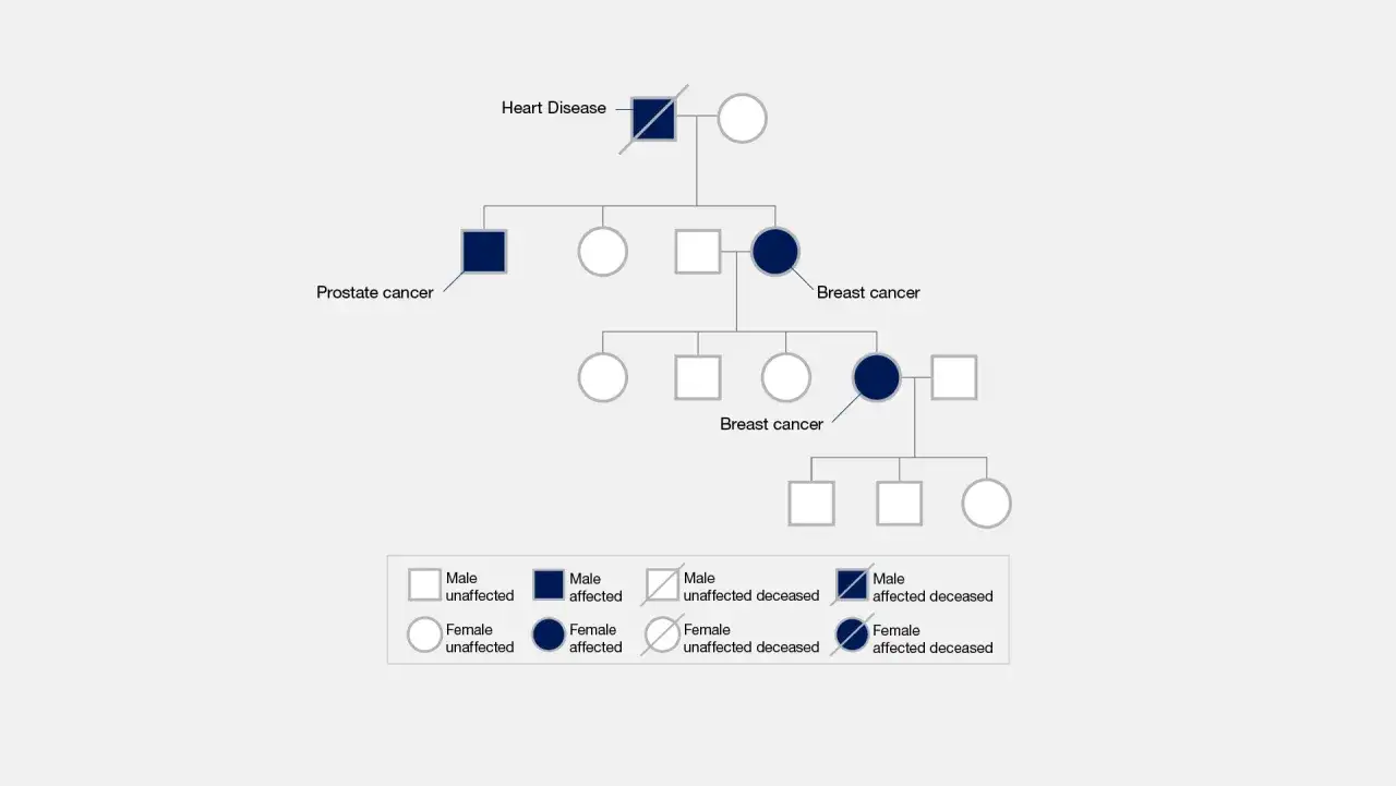 Árbol genealógico que muestra la herencia de enfermedades como cáncer de próstata y mama.