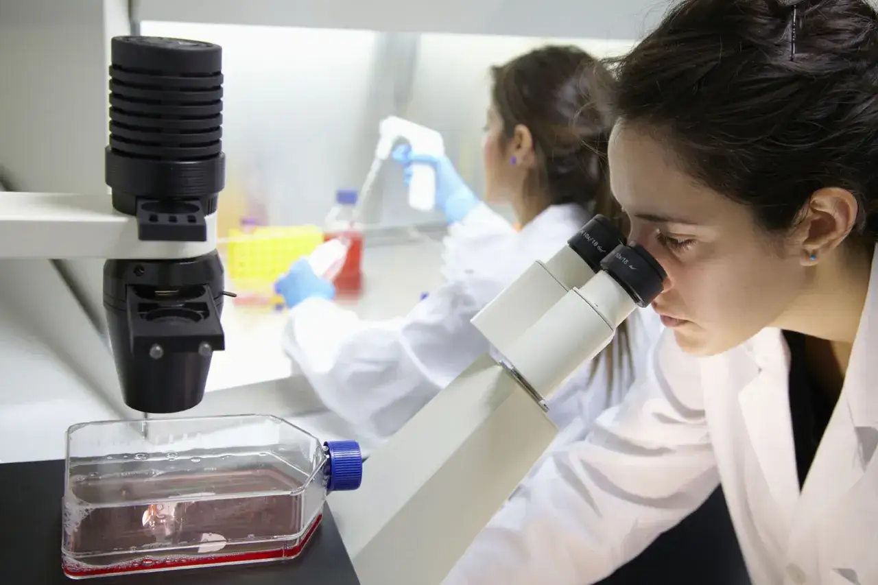 Cient&iacute;ficas investigan diferentes tipos de PCR en un laboratorio, una usa un microscopio y la otra manipula tubos.