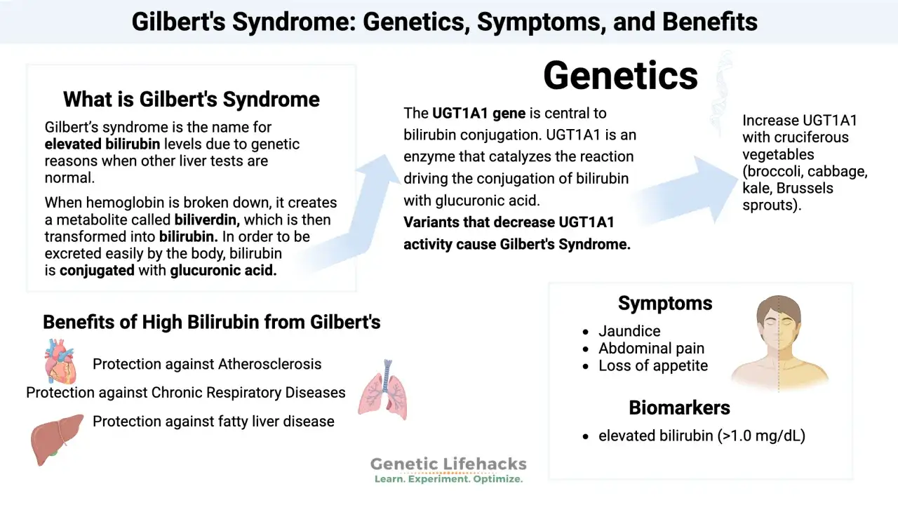 Informaci&oacute;n sobre el sd Gilbert: gen&eacute;tica, s&iacute;ntomas, beneficios y biomarcadores.
