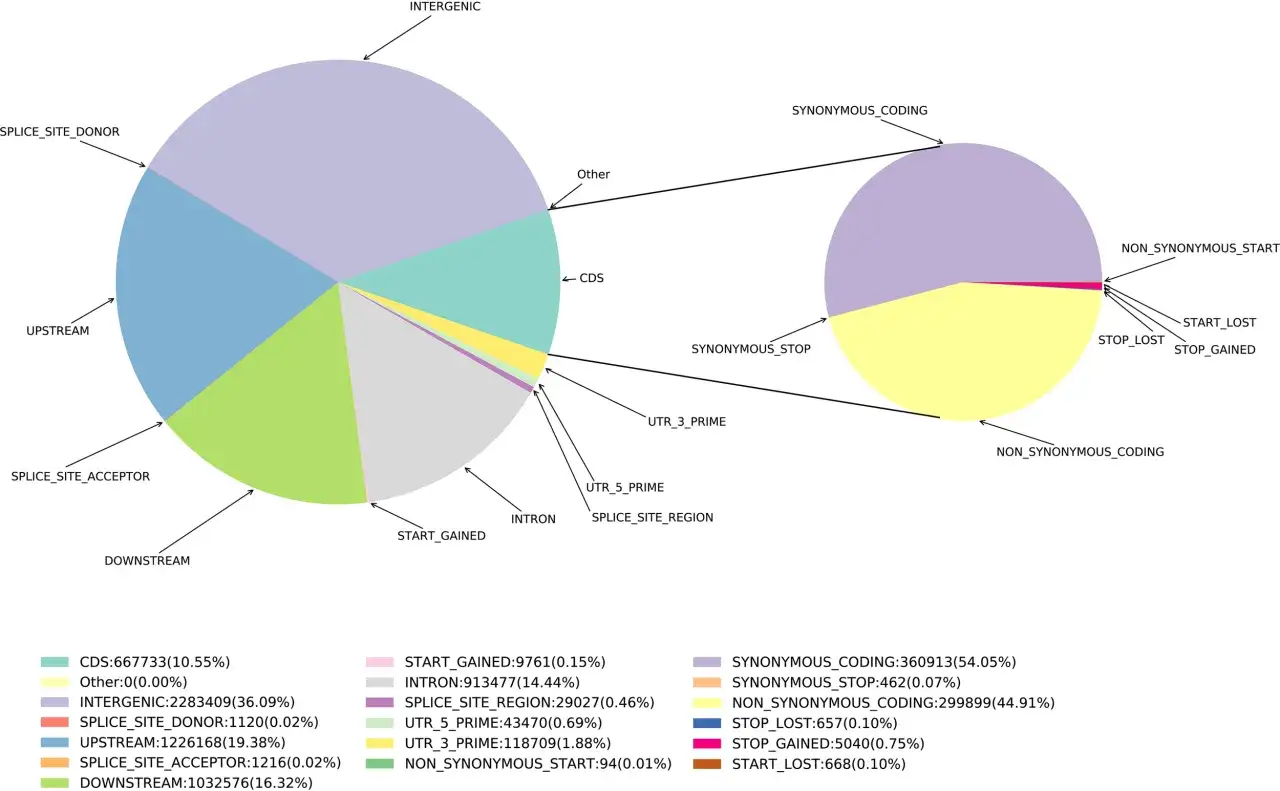 Gr&aacute;ficos circulares que muestran la diversidad gen&eacute;tica en diferentes regiones gen&oacute;micas, incluyendo CDS, intrones y UTRs.
