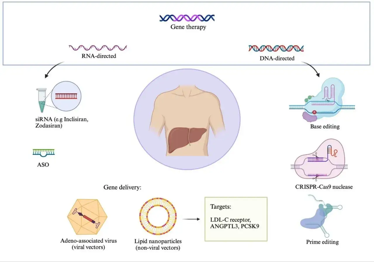 Diagrama de terapia g&eacute;nica para bajar el colesterol gen&eacute;tico, mostrando enfoques RNA y DNA dirigidos, entrega viral/no viral y edici&oacute;n g&eacute;nica.