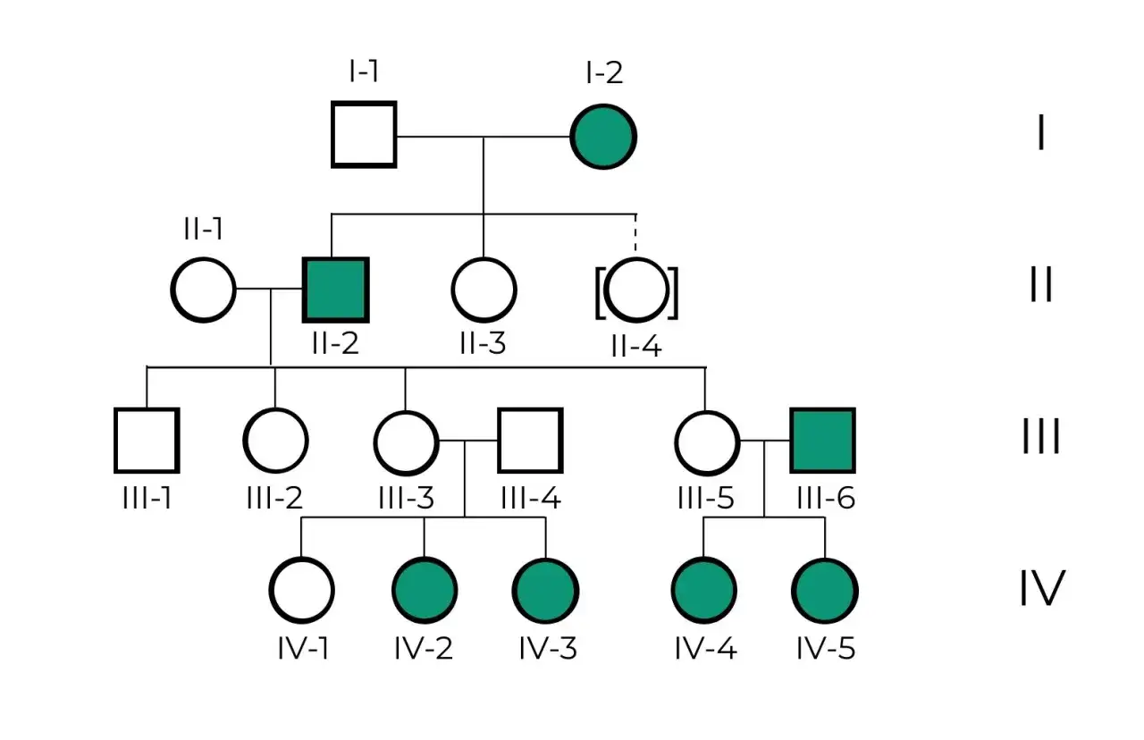 &Aacute;rbol geneal&oacute;gico que muestra la herencia de un rasgo a trav&eacute;s de varias generaciones, desde los bisabuelos hasta los bisnietos.