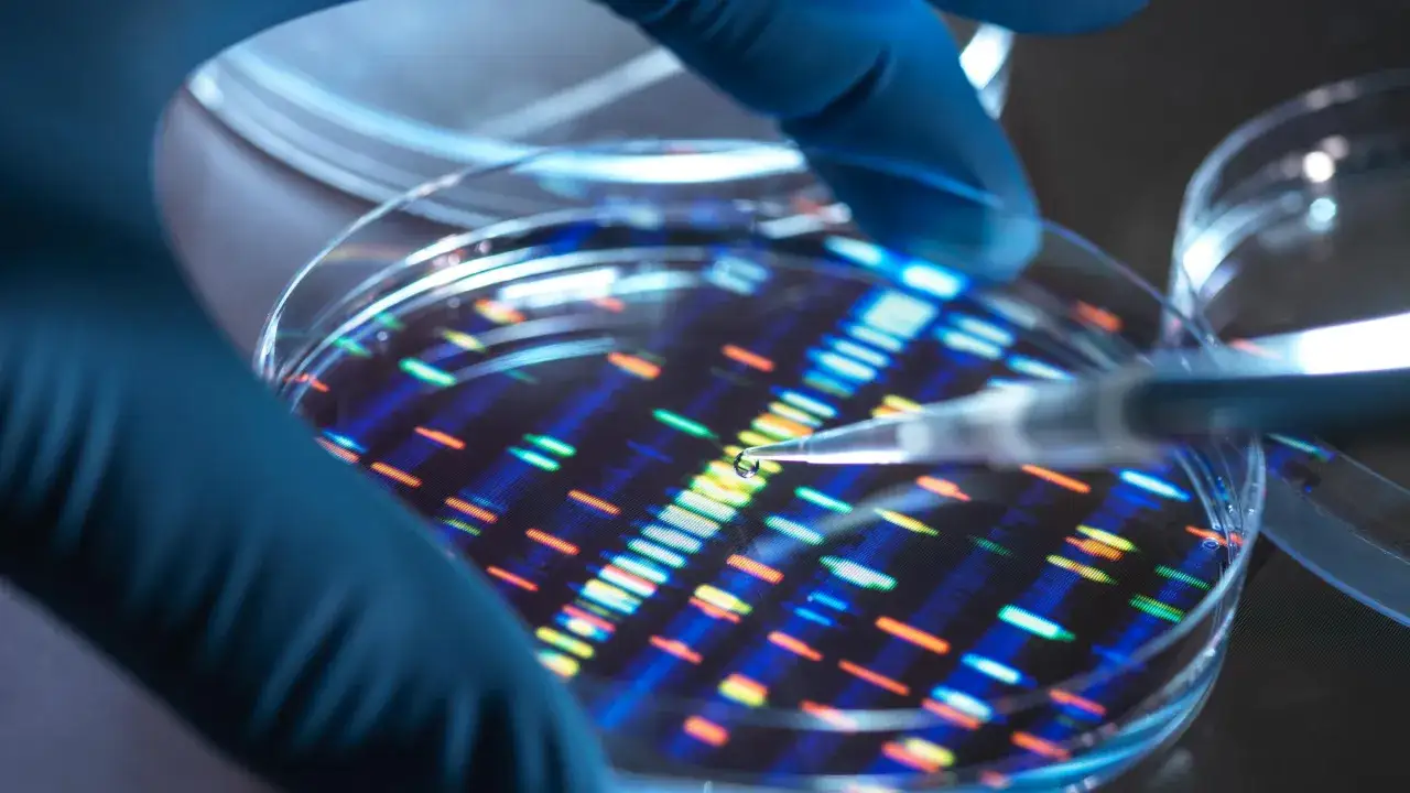 Manos enguantadas manipulan una placa de Petri con un patr&oacute;n de ADN colorido, parte de un estudio gen&eacute;tico del c&aacute;ncer.