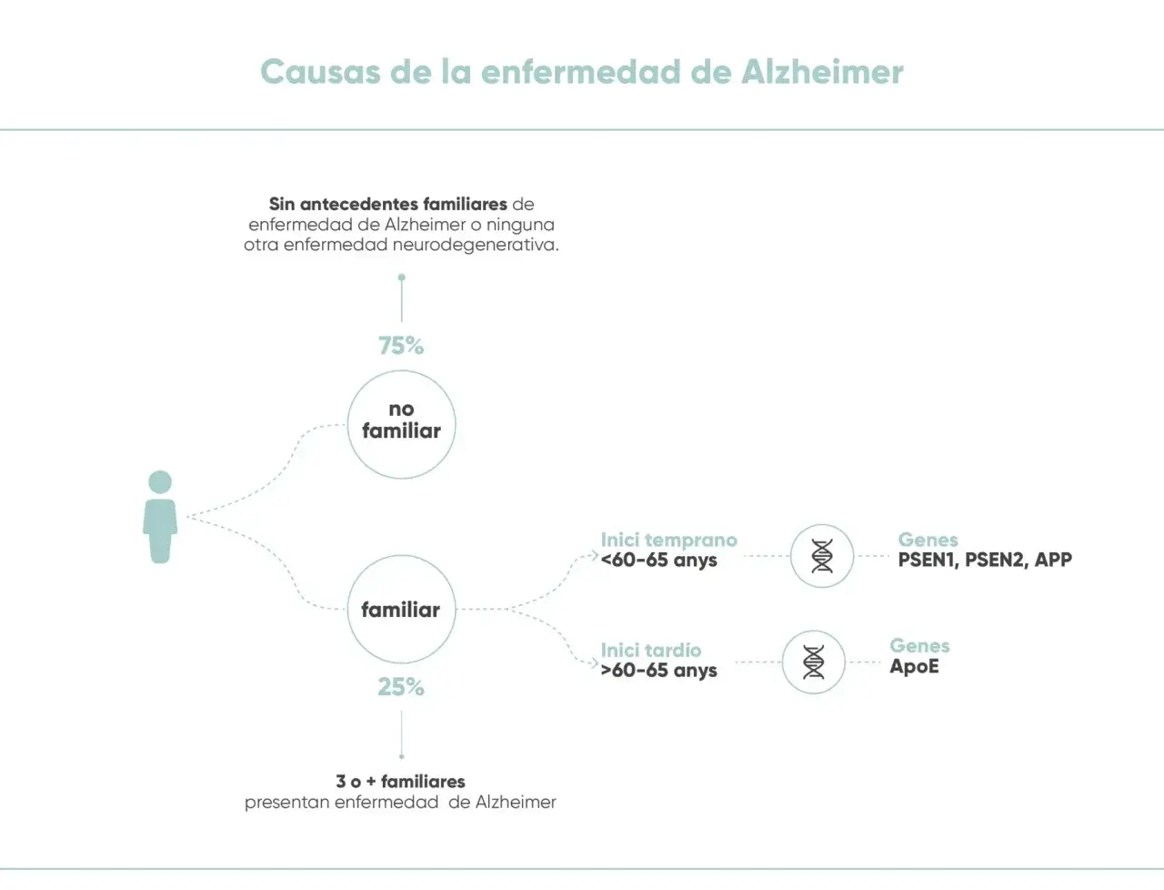 El Alzheimer puede heredarse de la madre. El 25% de los casos familiares se asocian a genes como PSEN1, PSEN2, APP o ApoE.