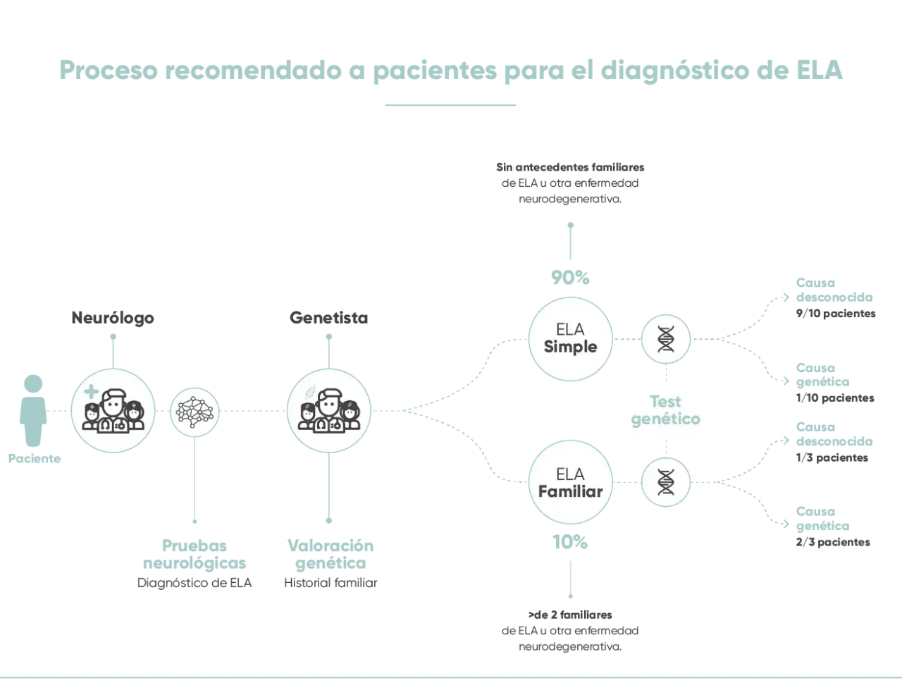 Diagrama del proceso de diagnóstico de ELA, mostrando la diferencia entre ELA Simple y ELA Familiar, con porcentajes y causas genéticas.