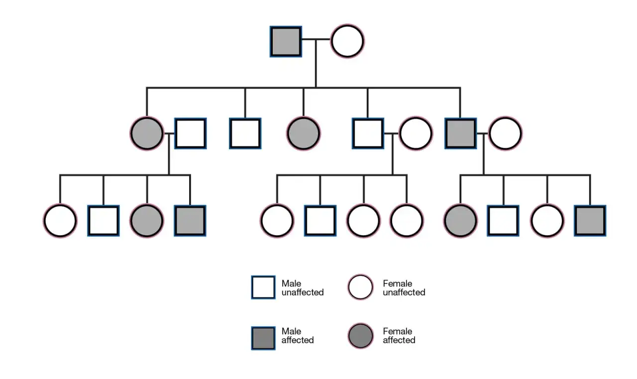 Árbol genealógico que muestra la herencia de genes dominantes. Individuos afectados (cuadrados y círculos grises) y no afectados (cuadrados y círculos blancos).
