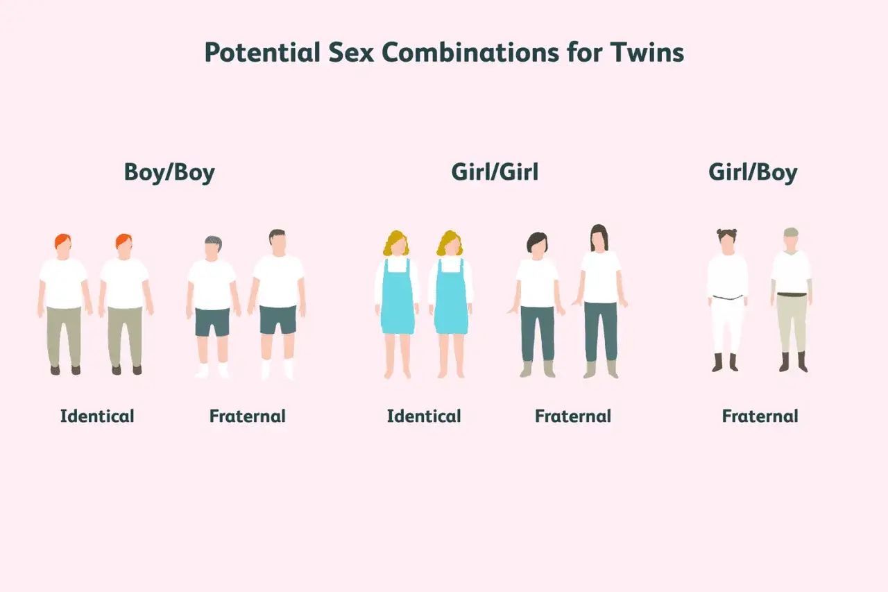 Ilustraci&oacute;n muestra combinaciones de sexo para gemelos: ni&ntilde;o/ni&ntilde;o, ni&ntilde;a/ni&ntilde;a y ni&ntilde;o/ni&ntilde;a. Los gemelos pueden ser ni&ntilde;o y ni&ntilde;a.