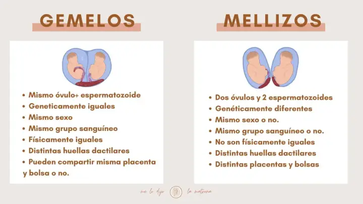 Infografía que explica la diferencia entre gemelos y mellizos, detallando su origen genético y características físicas.