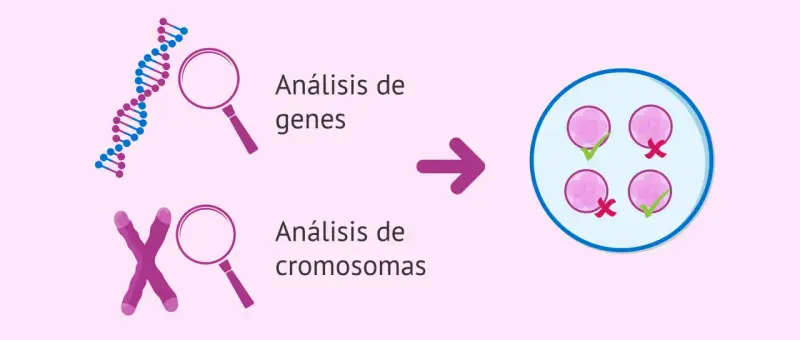 Análisis genético y cromosómico para detectar si la esclerosis múltiple es hereditaria.